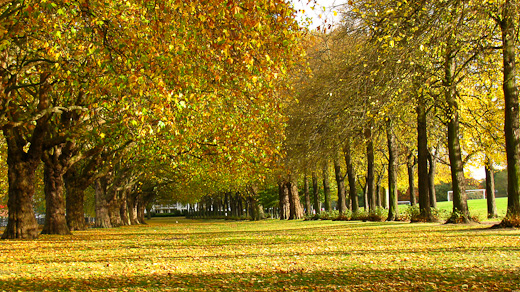 Wandsworth Park